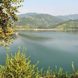 專業運動木地板品牌電話