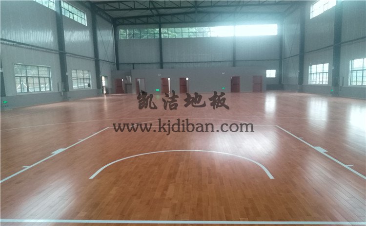 湖南省邵陽市紀檢辦案場所籃球館木地板