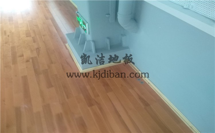 湖南省邵陽市紀檢辦案場所籃球館木地板